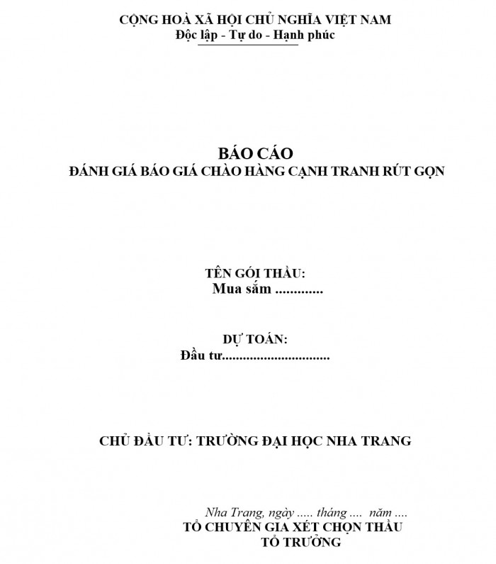 Mẫu báo cáo đánh giá chào hàng cạnh tranh rút gọn